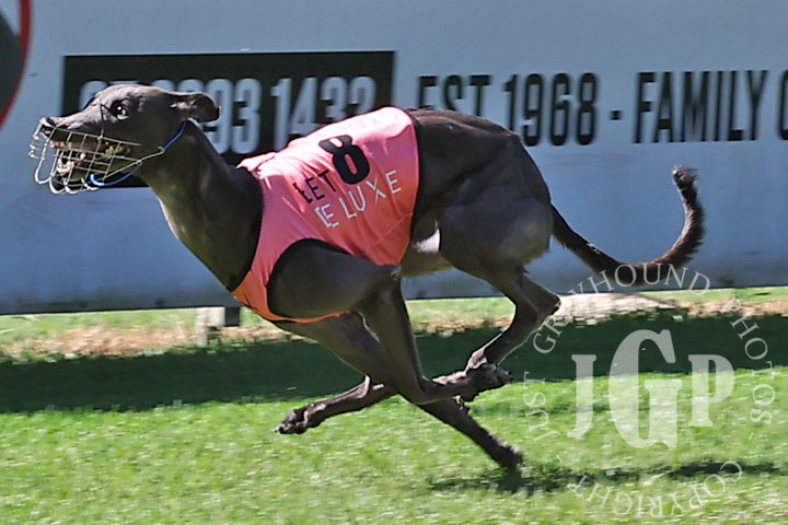 Cashed-Up-Rhi-2-120426-capweb