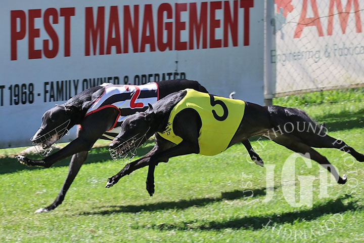 Hello-Gemini-2-120426-capweb