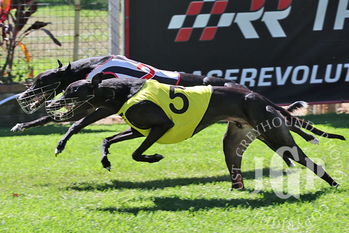 Hello-Gemini-3-120426-capweb