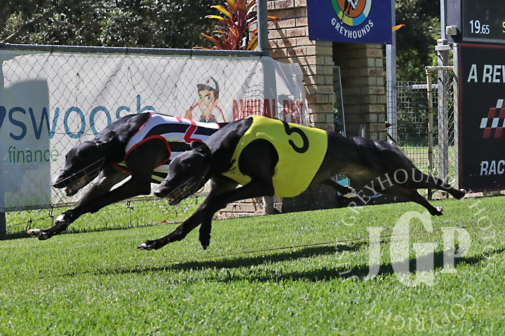 Hello-Gemini-5-120426-capweb