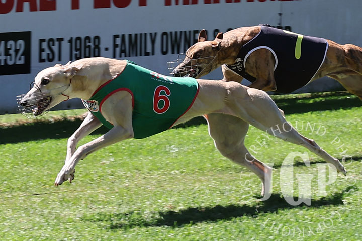 Myona-Countess-1-120426-capweb