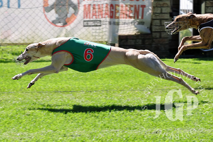 Myona-Countess-3-120426-capweb