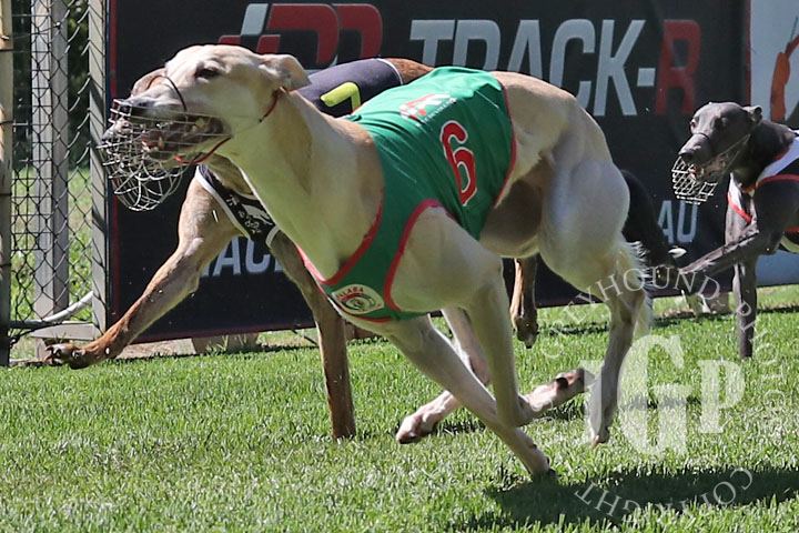 Myona-Countess-5-120426-capweb