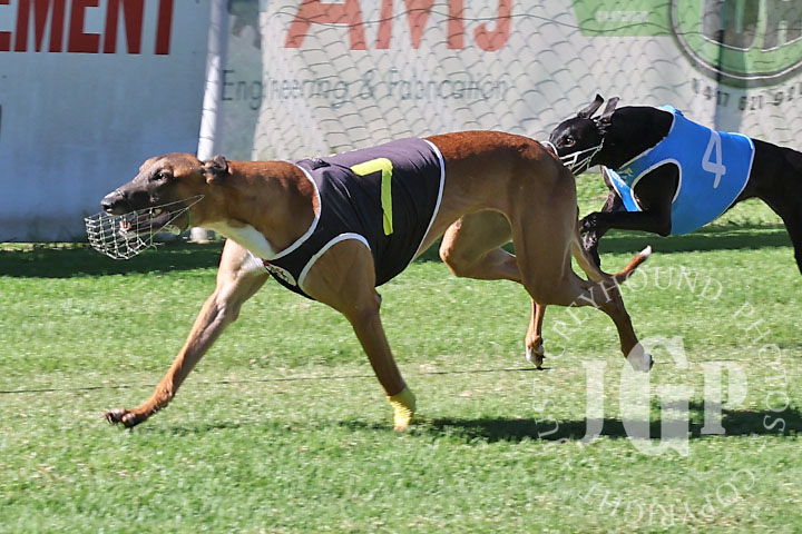 Oscar-Bravo-2-120426-capweb