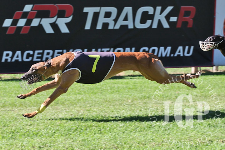 Oscar-Bravo-4-120426-capweb