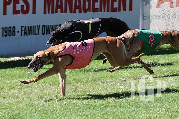 Rolling-Royalty-1-120426-capweb