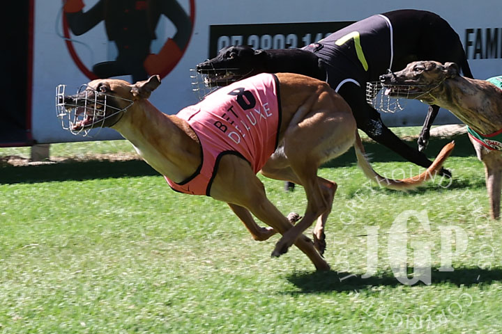 Rolling-Royalty-2-120426-capweb