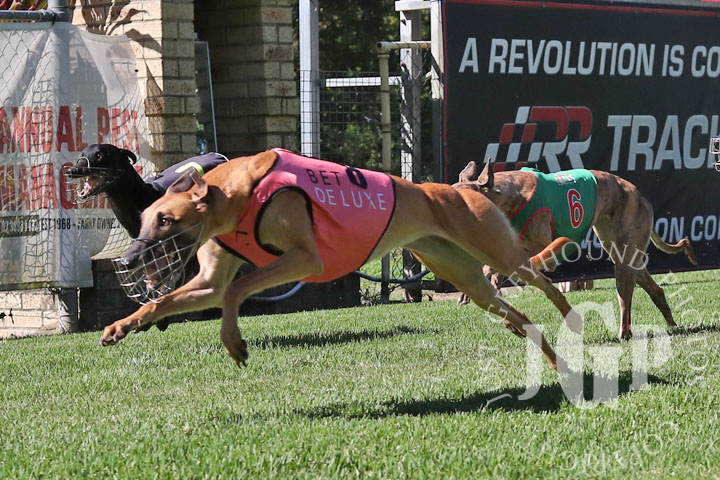 Rolling-Royalty-5-120426-capweb