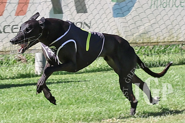 Rupesh-1-120426-capweb