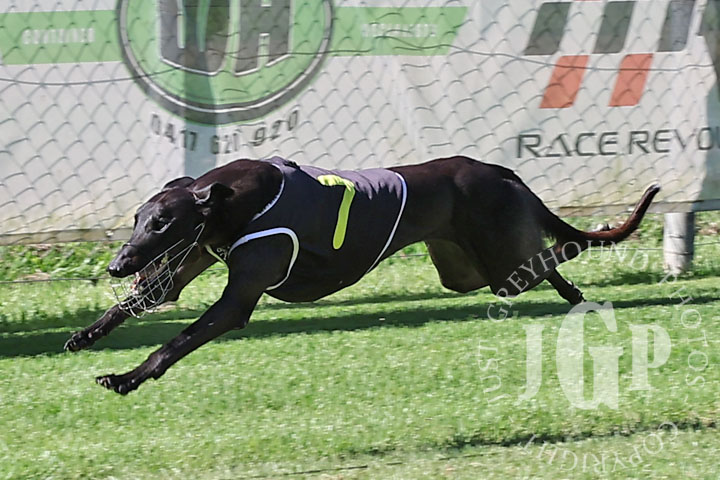 Rupesh-2-120426-capweb