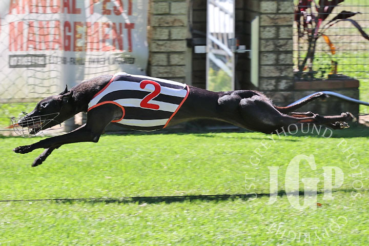 Typhoon-Saskia-3-120426-capweb