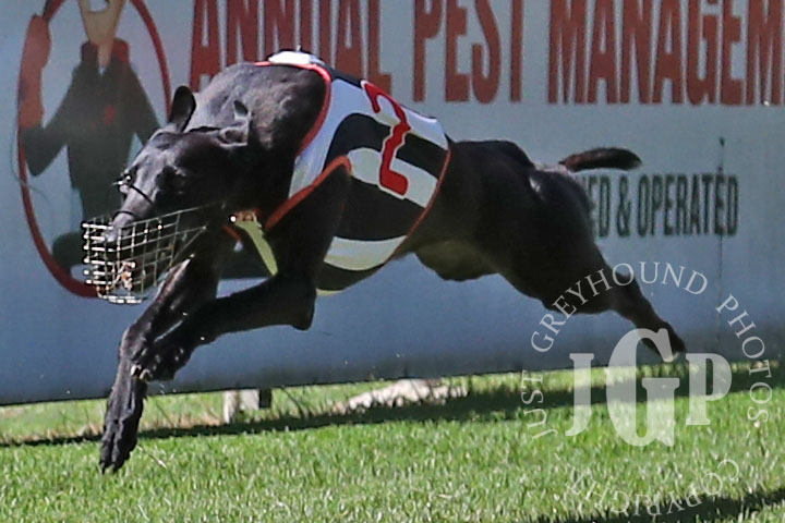 Typhoon-Saskia-4-120426-capweb