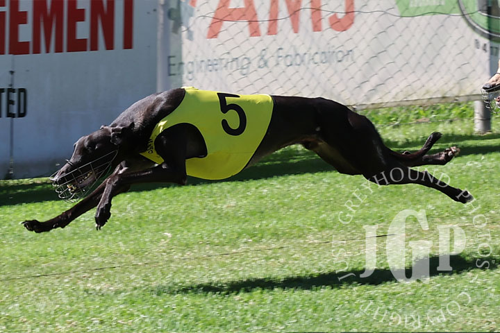 Zipping-Kimeli-2-120426-capweb