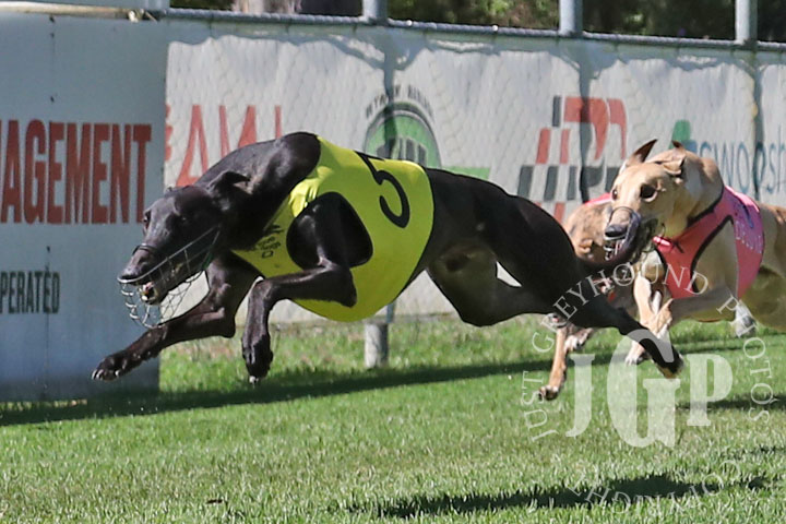 Zipping-Kimeli-4-120426-capweb